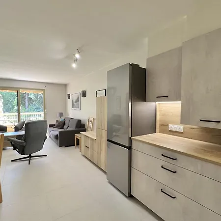 Apartman With Pool Near The Sea Juan-les-Pins